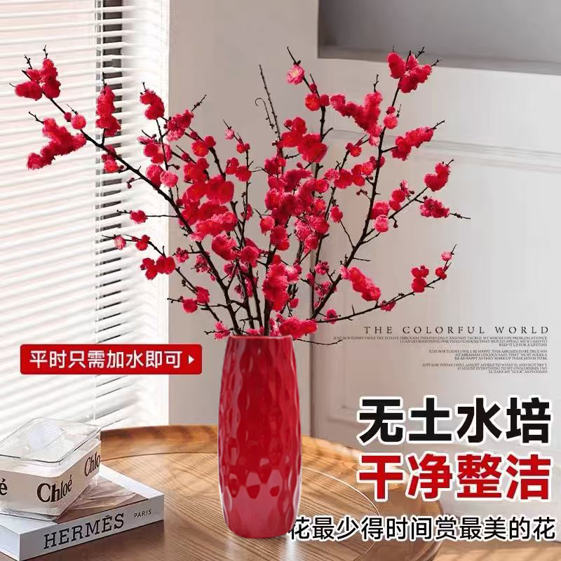 【开花爆满】北美冬青红梅鲜枝 遇水开花，室内水培植物花卉
