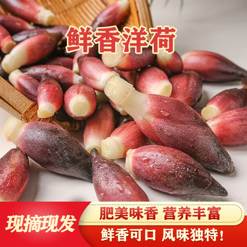 【洋荷】【洋火姜】【马洛村】湘西本土生鲜老百姓自己种的本地菜