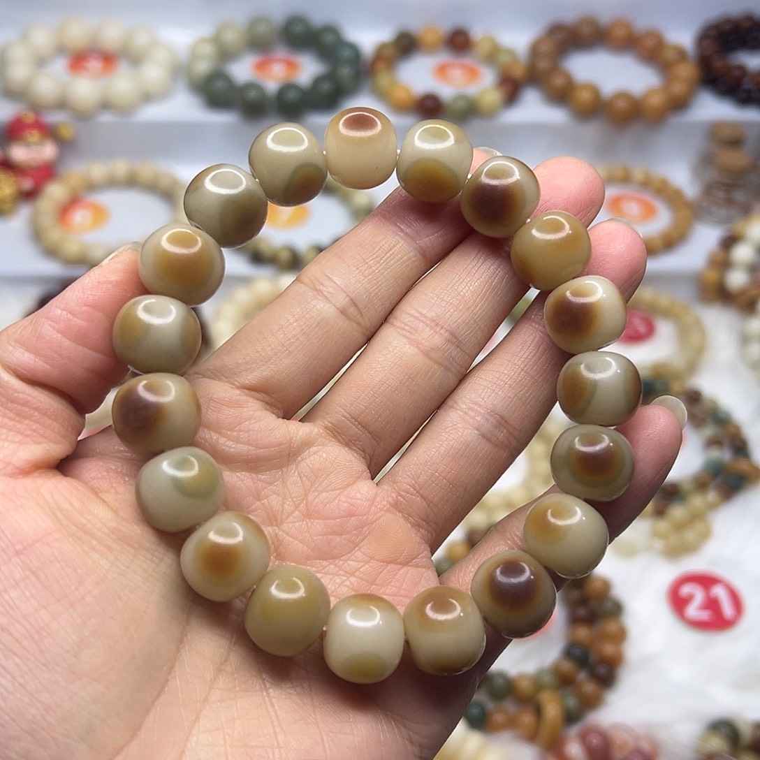 虫***猫手串菩提根/象牙果