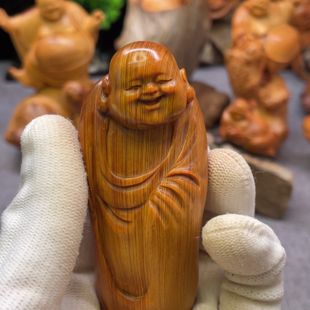 柏木太行崖柏旭挂科了