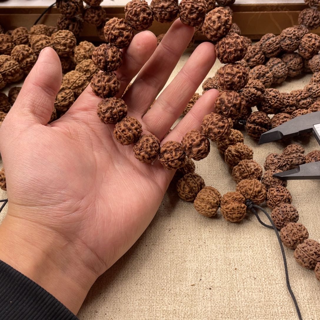 吊坠金刚菩提老原生态古龙铁籽