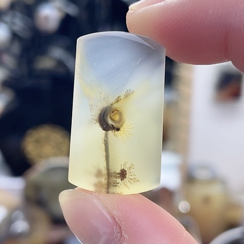 玛瑙/玉髓珠宝奇石未镶嵌