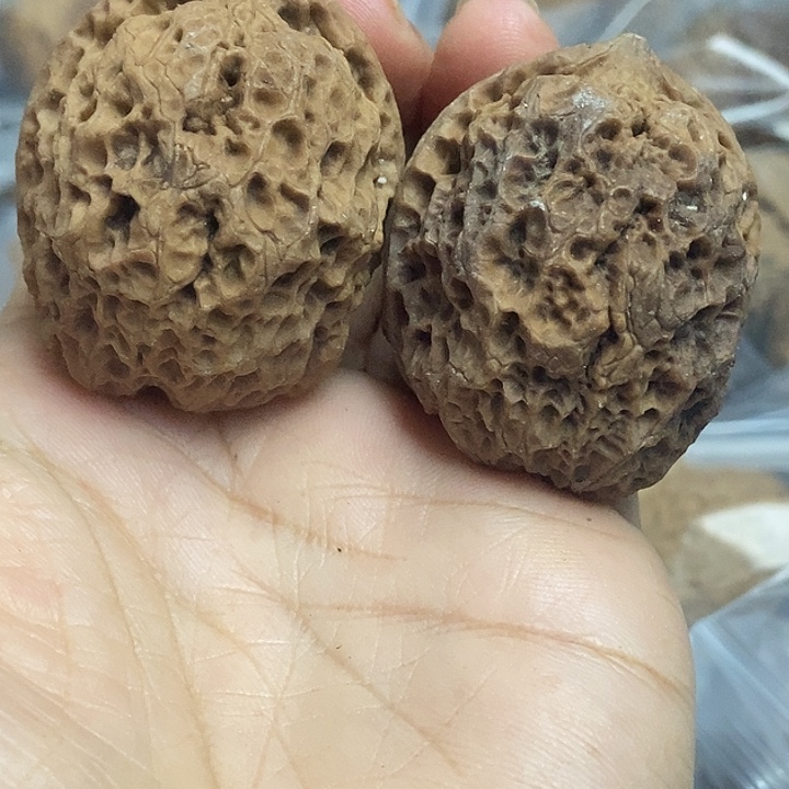 文玩核桃把件云南铁核桃基地42