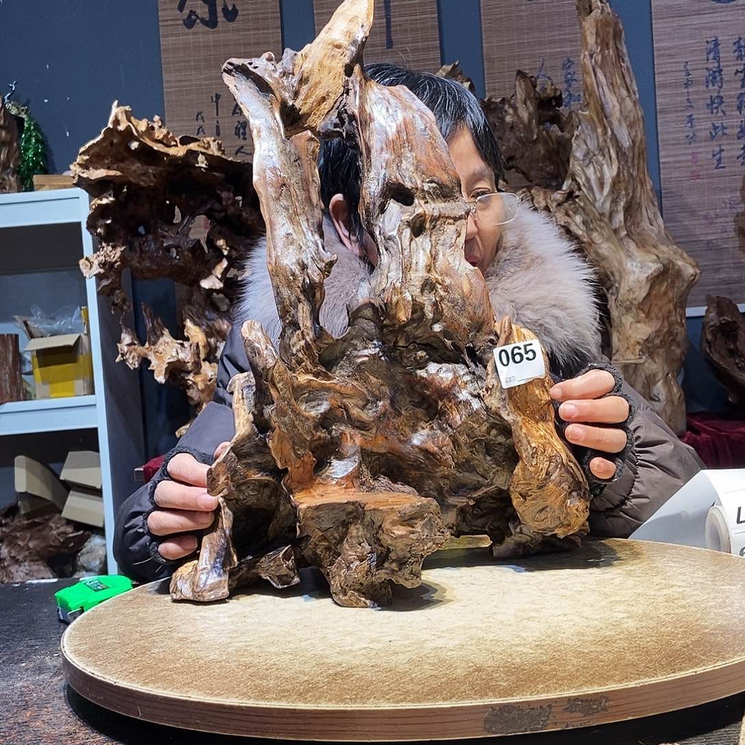 止***道065。株木随行根艺