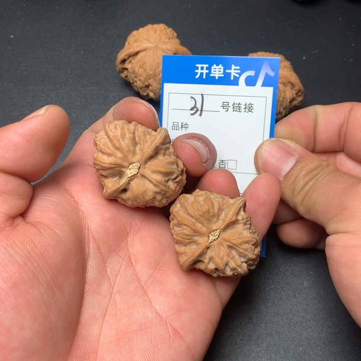 文玩核桃把件38门头沟元宝31
