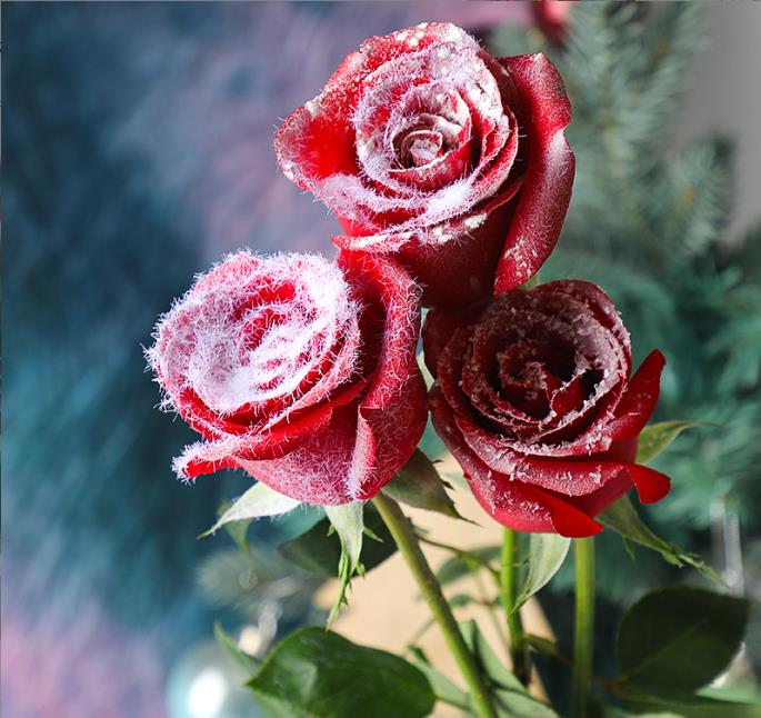 冰纱玫瑰植绒粉鲜花飘雪装饰毛绒粉材料圣诞喷雪花束花艺包装资材