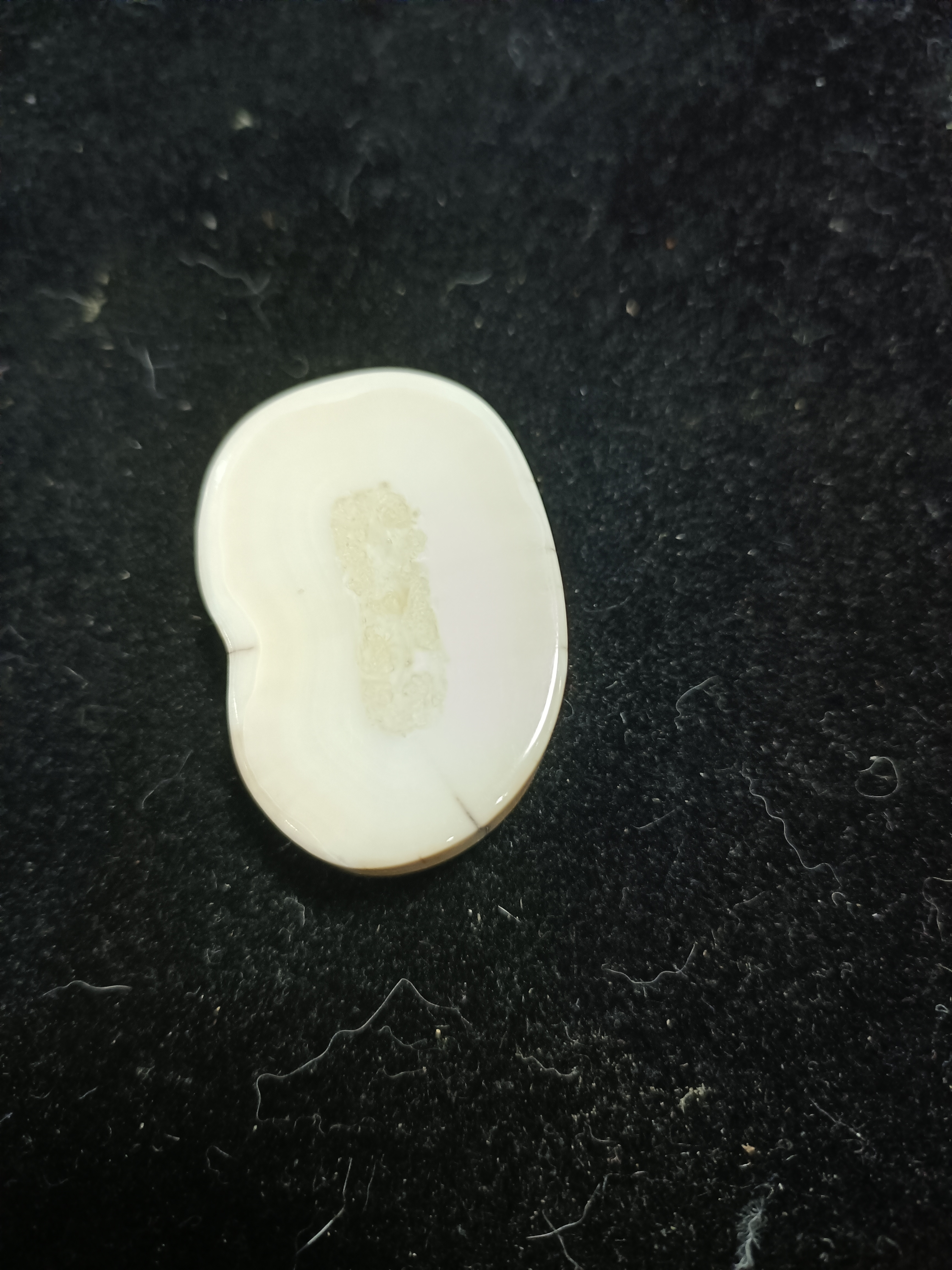 猛犸猛犸虬饼子WW430