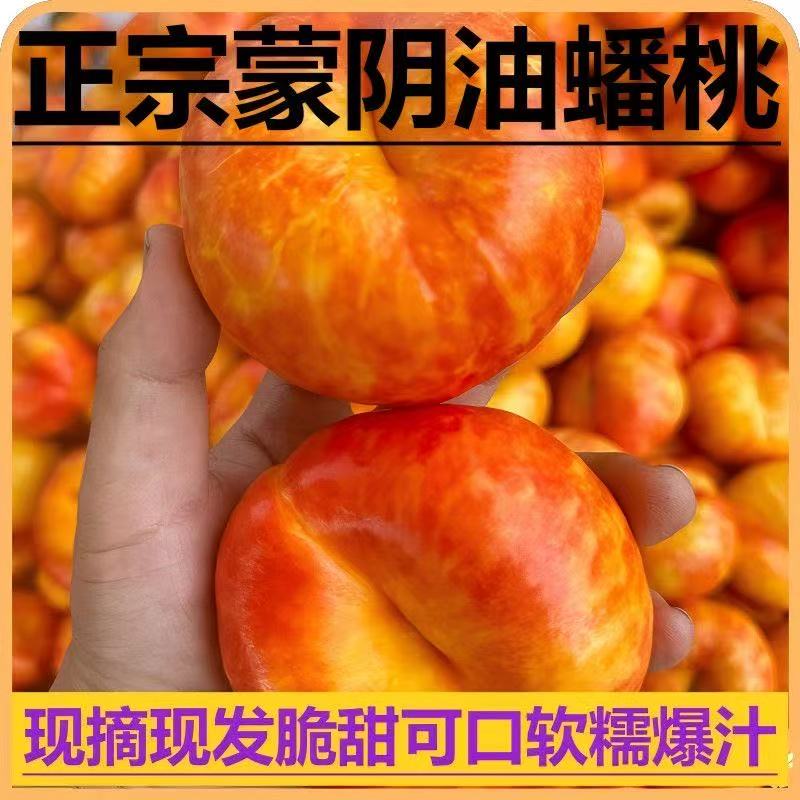 【送礼佳品 顺丰包邮】蒙阴彩虹油蟠桃新鲜应季甜嫩多汁皮薄现摘