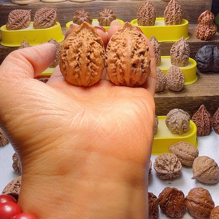 乌***拉核桃鹰嘴放漏漏漏