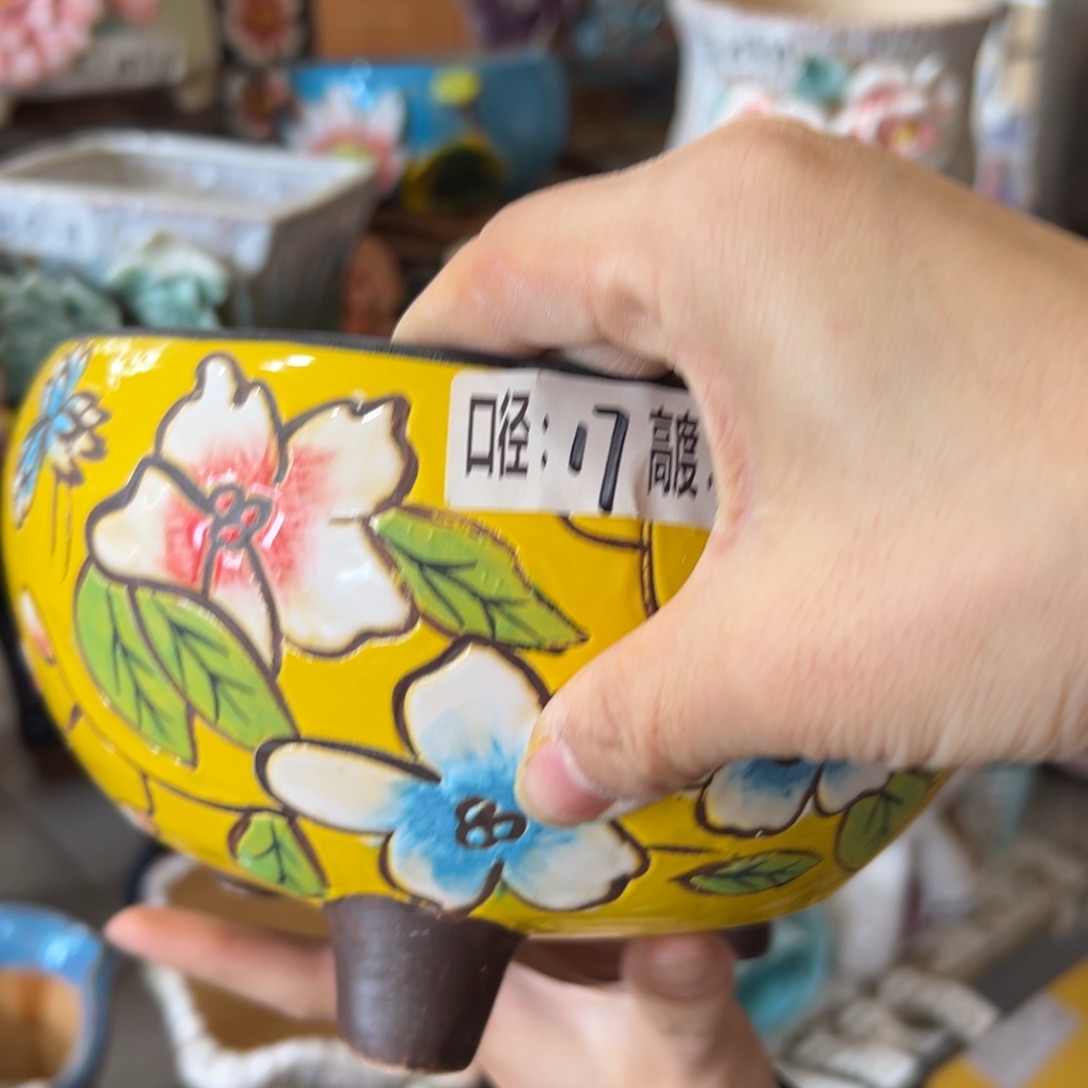多肉花盆，满20米发货爱退款拉黑