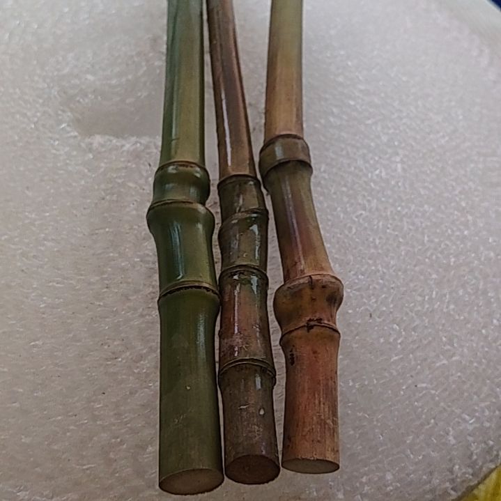 完***美对对对发发发发发发发