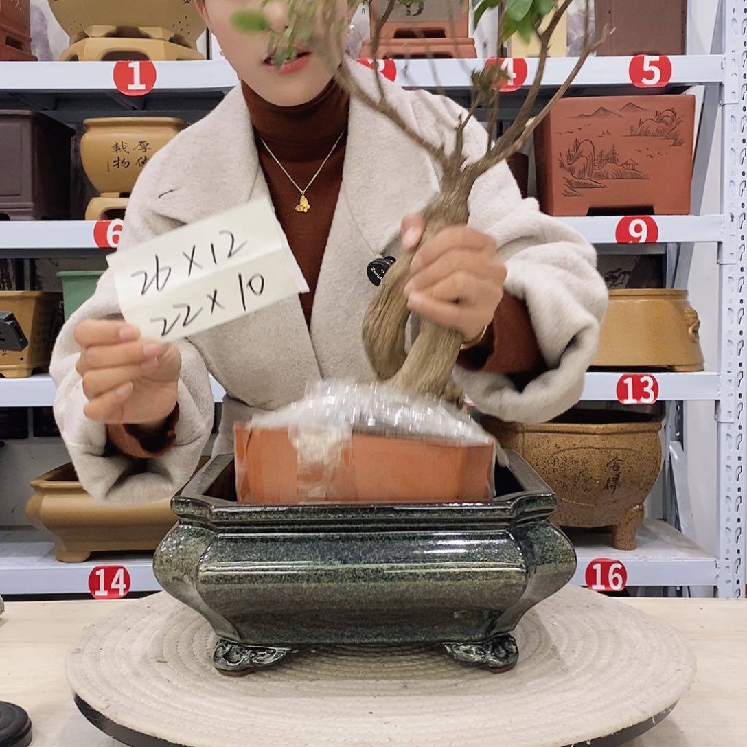 紫砂花盆紫砂花盆