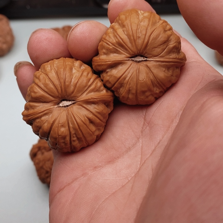 核桃赖***二你好吗我好想你啊