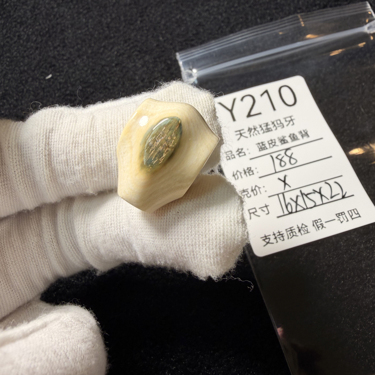 Y210天然猛犸象牙蓝皮鲨鱼背一体三通配饰冰料16*15*22mm瑕疵