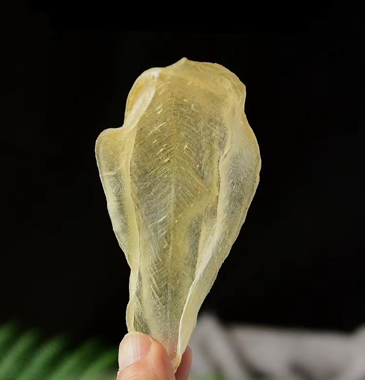 (白花胶) 通用链接  规格重量以直播间为准