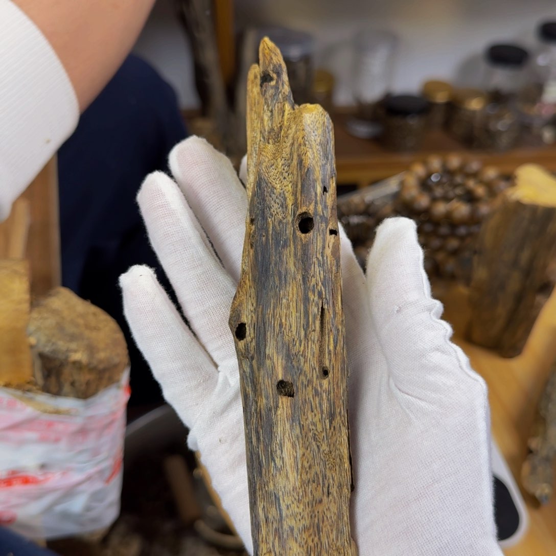 沉香沉香碎屑蓝宝石虫漏香45克