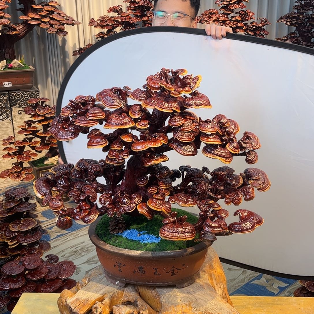 无花朵888888888889