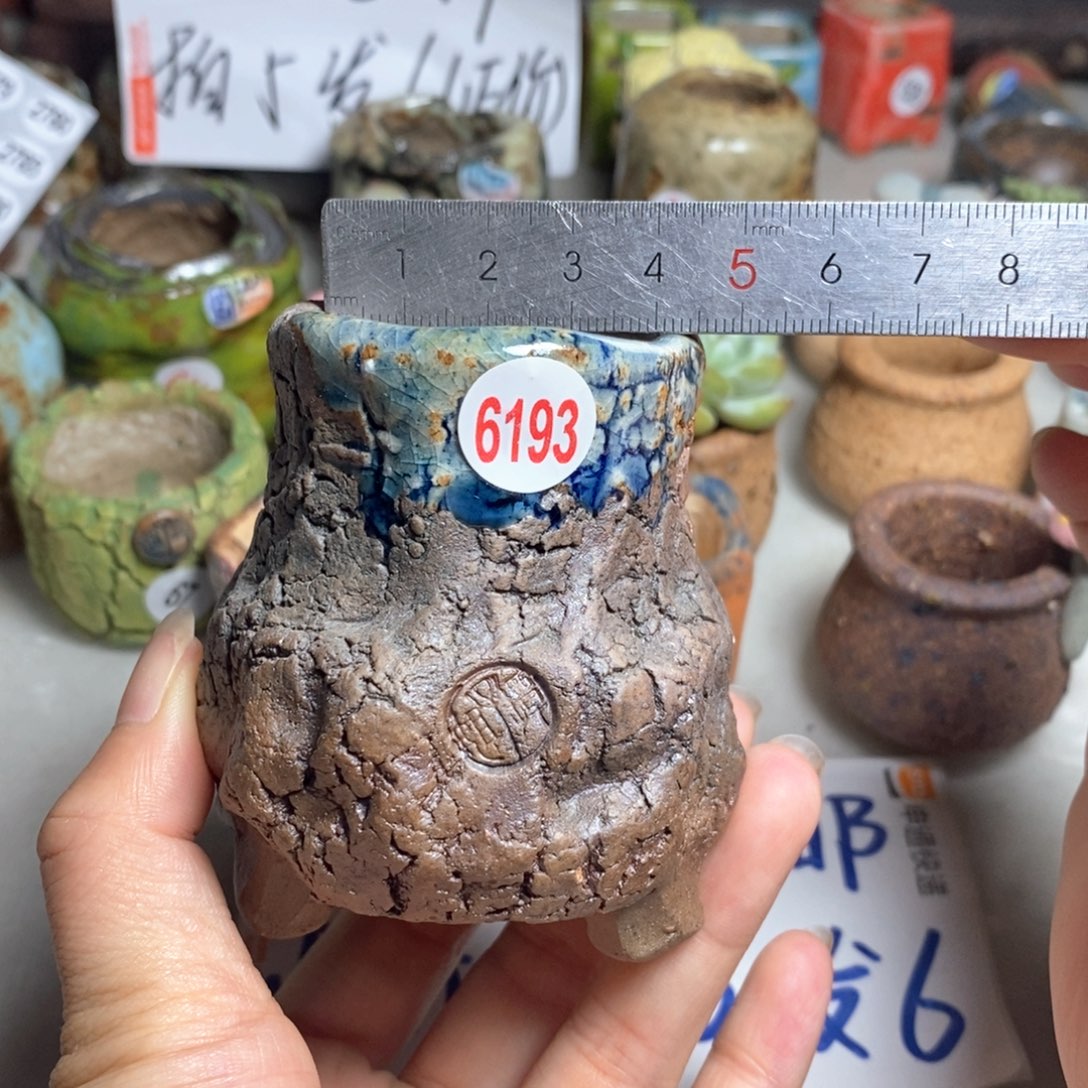 拍5送一个小礼物