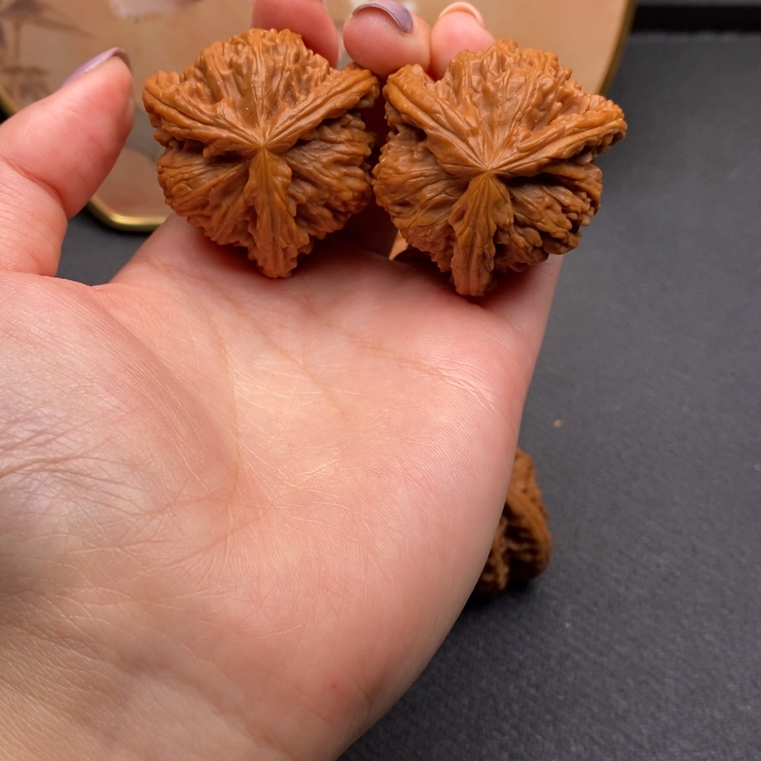 l*w白狮子111111111