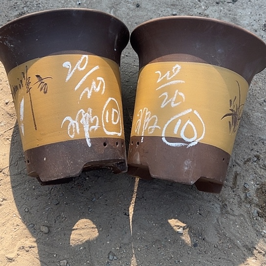 紫砂工艺厂……紫砂工艺厂……