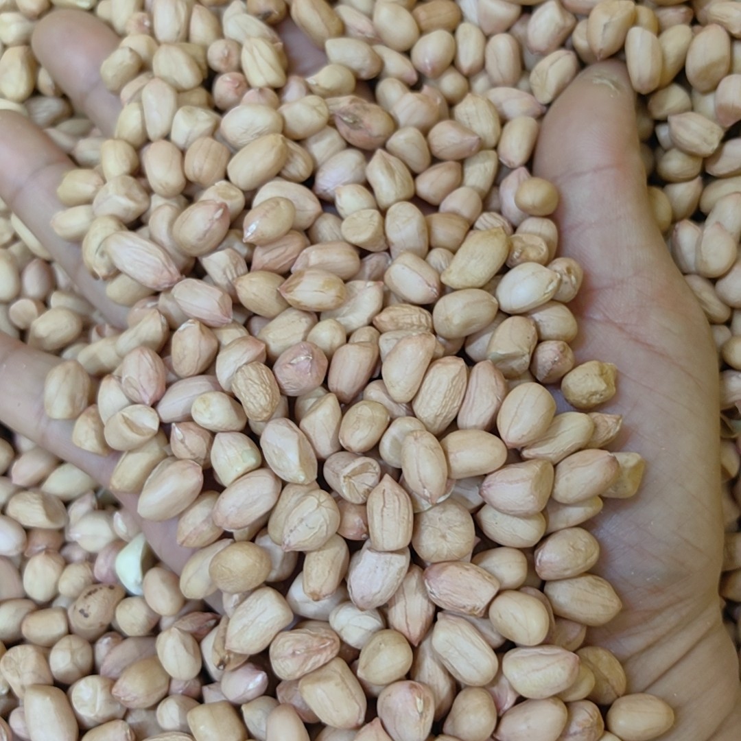 花生米新鲜手工剥