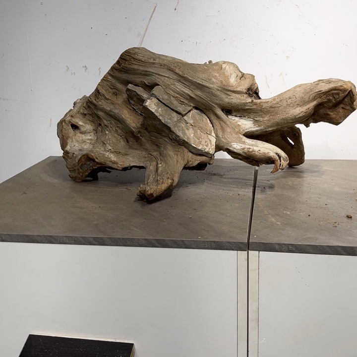 两***生柏木崖柏等自然资源和生态资源丰富多彩