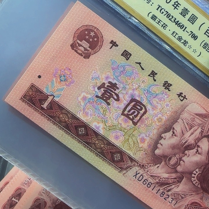 XD66118231标十标十一组