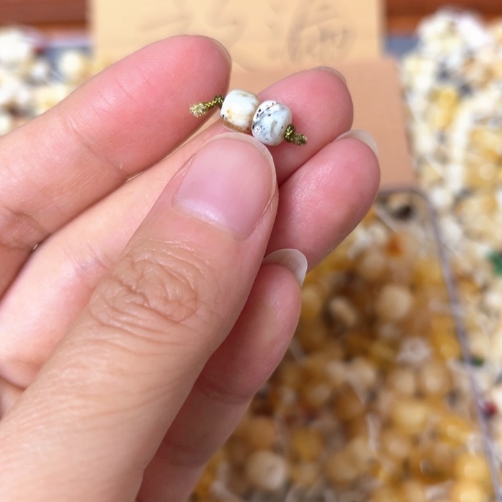 蜜蜡未镶嵌裸石5.9mm一对