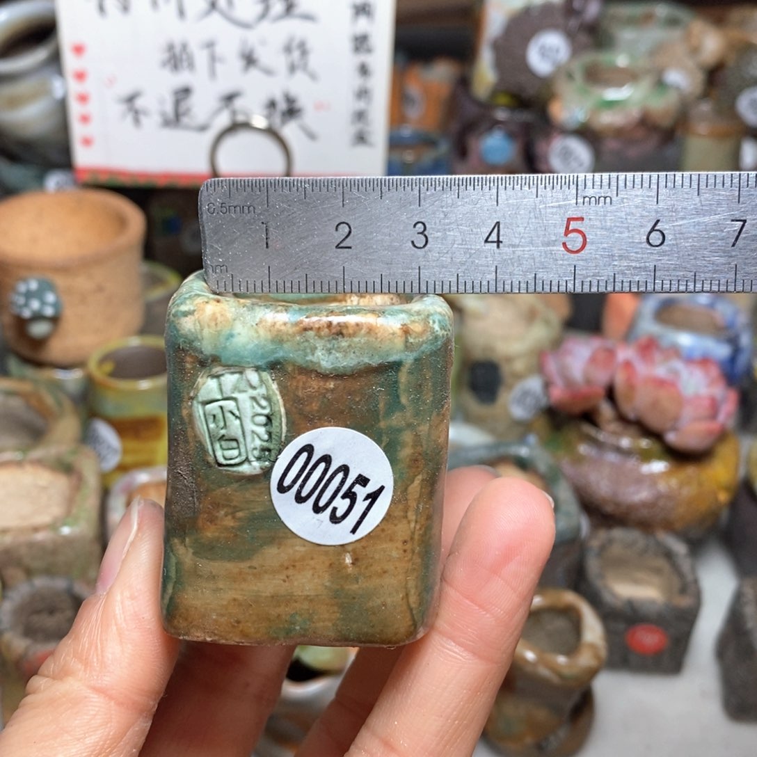 花盆拍3送一个小礼物