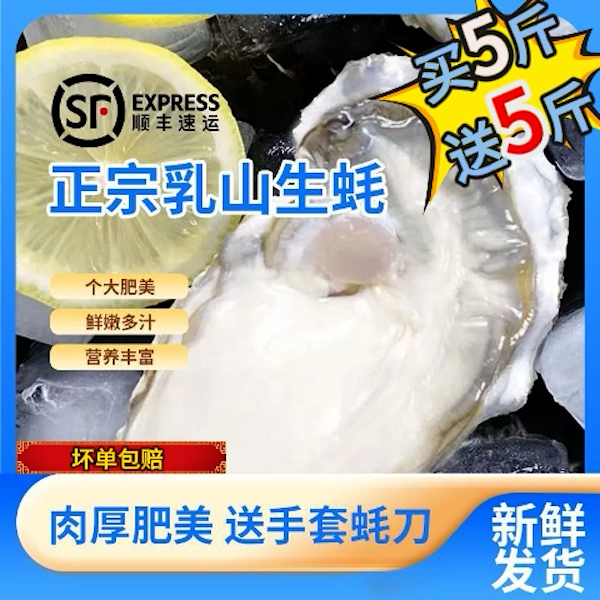 【巨无霸7X】正宗乳山免洗刺身级金标生蚝5斤送5斤海鲜水产海蛎子