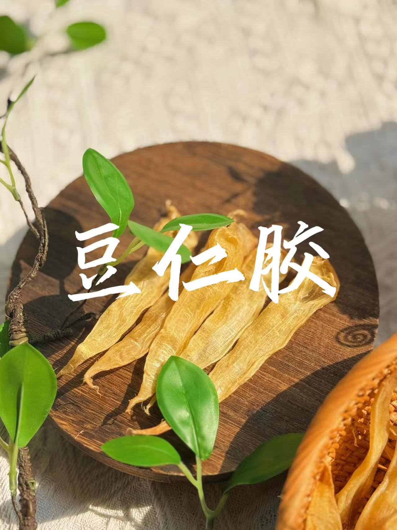 【叮叮鱼胶】豆仁胶 豆仁公日常实惠品质款花胶 广东汕头实体老店