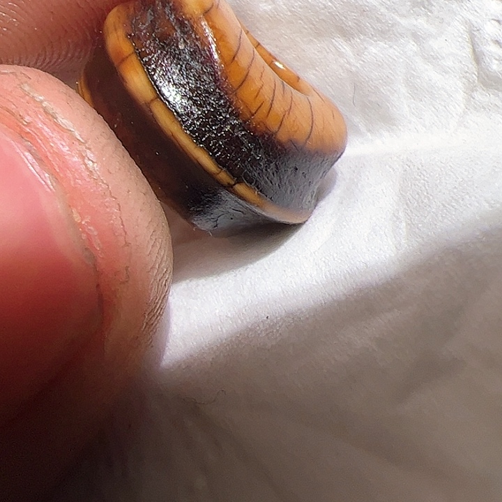 香榧木你的时候你