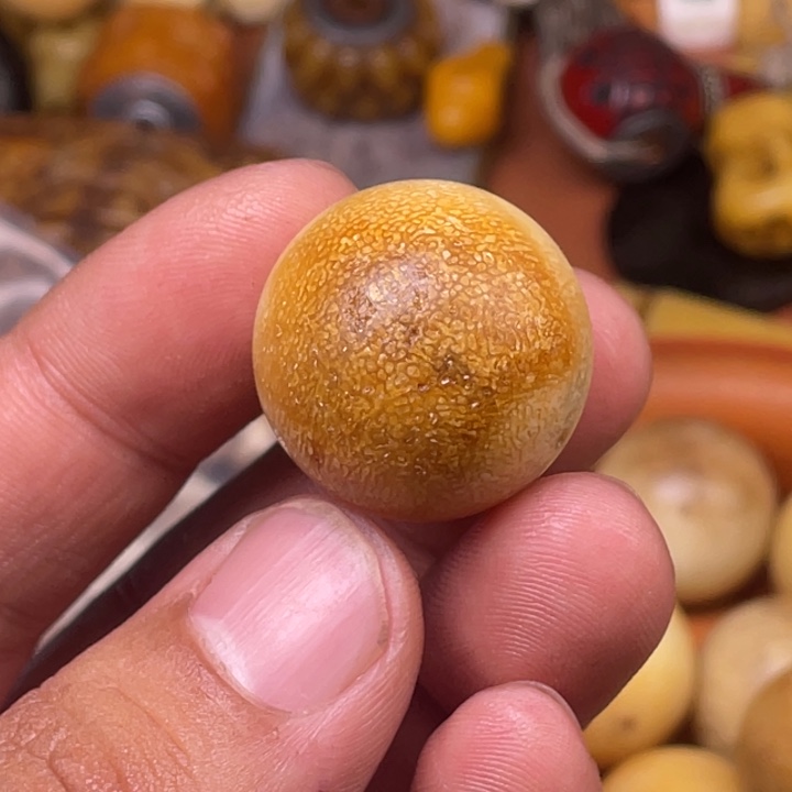 驼骨其他人工养殖