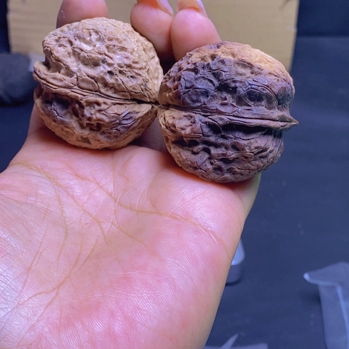 把件文玩核桃15-40m m