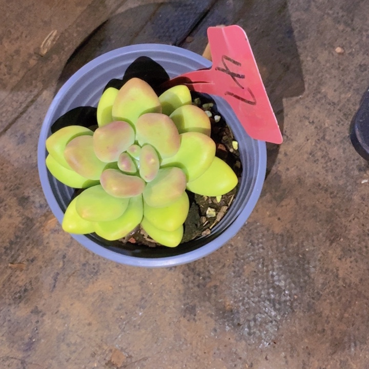 酷***多这个我是很看好啊我们喜欢