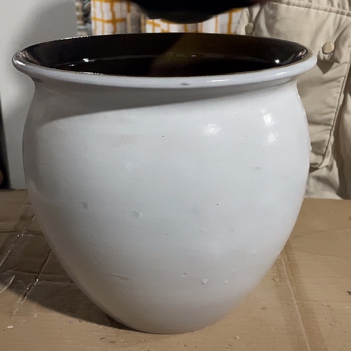 红陶正品24/24一个