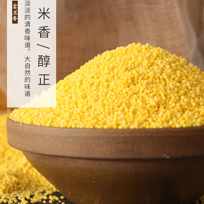 26年山东富兰香熬小米粥颗粒饱满