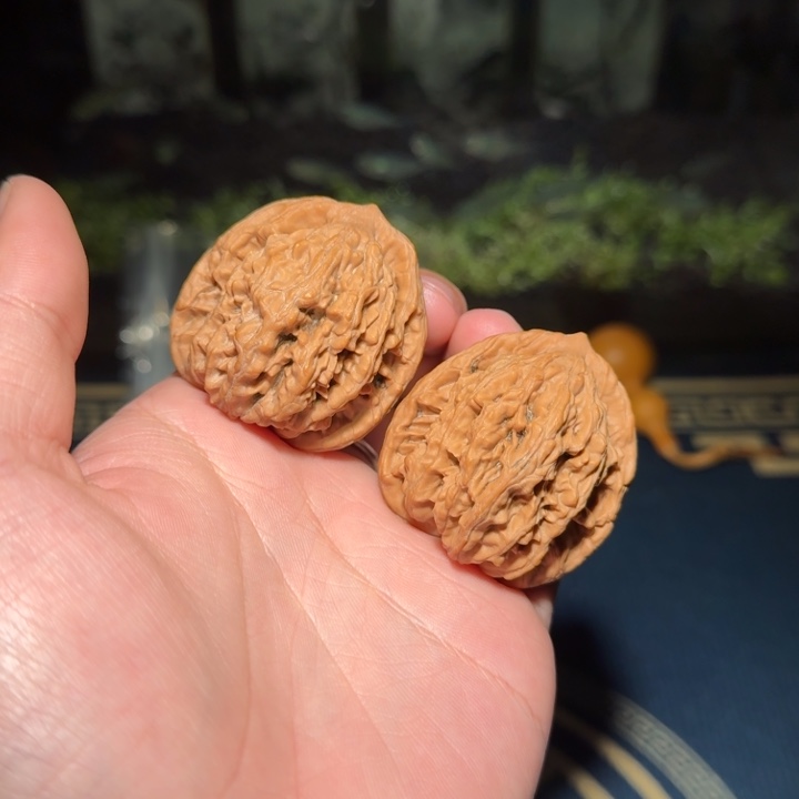 1351号41麦穗虎头文玩核桃