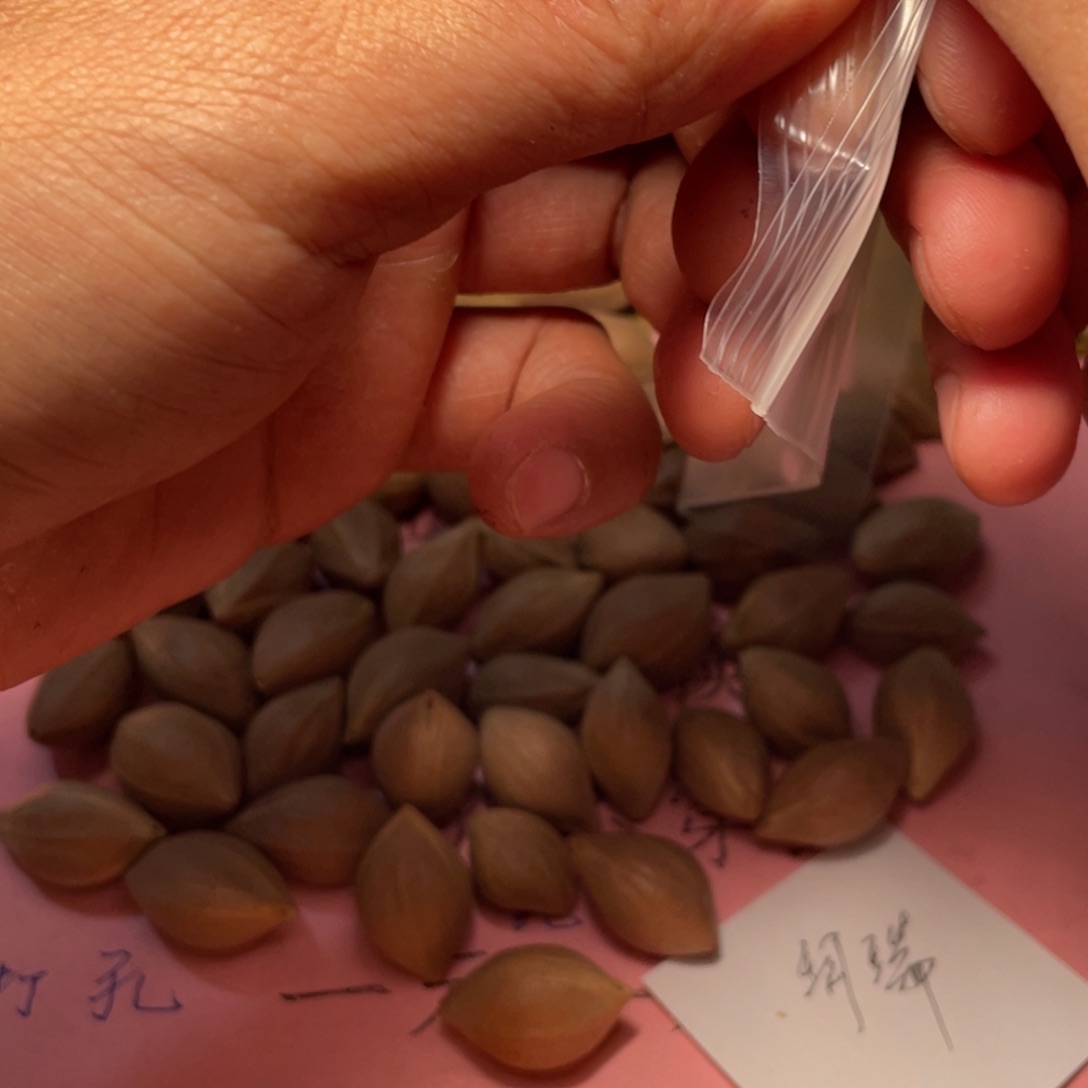 珂*不退不换aasaaass