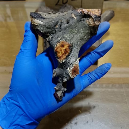 展***飛香榧木崖柏随行毛料毛料毛料