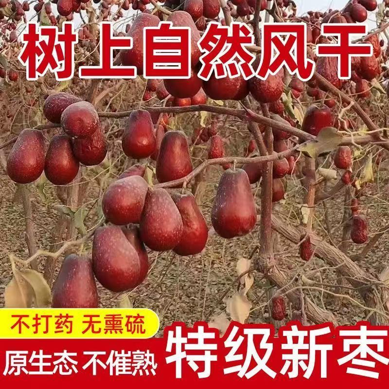 2025新疆直发沙漠红枣原生态核小皮薄枣香浓郁带灰发货bg