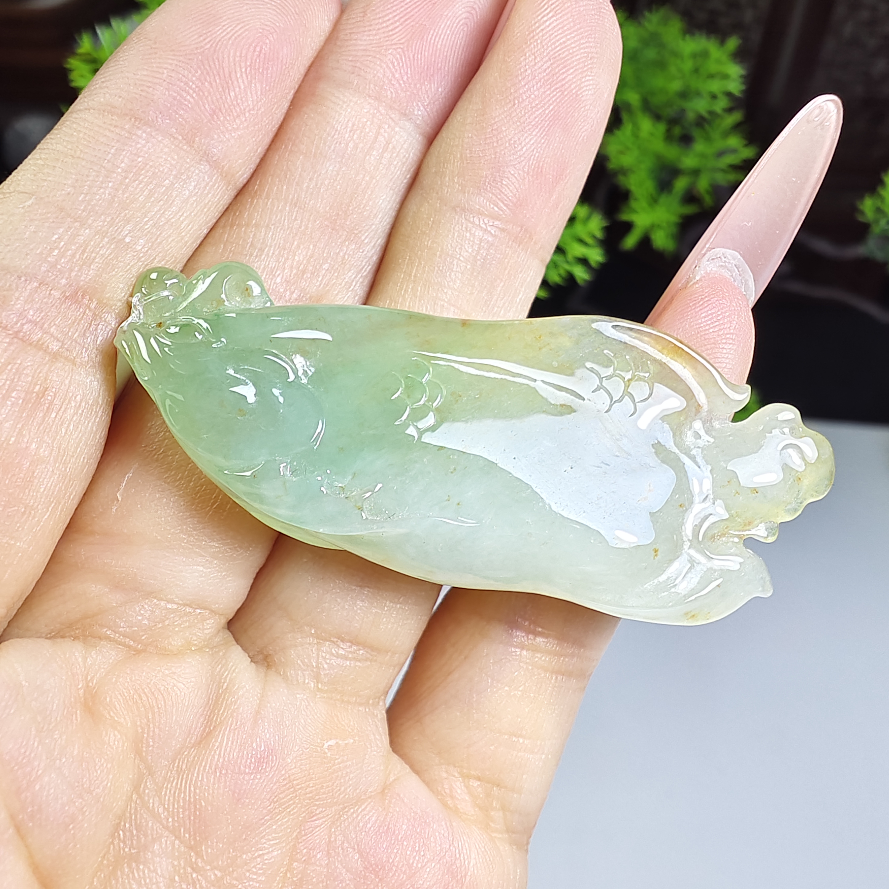 天然a货冰黄加绿鱼吊坠带证书母亲节礼物，尺寸54.7*21.6*8.2