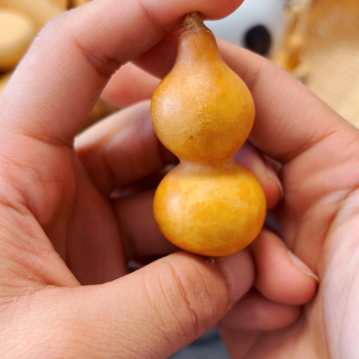 蛤**子99999999999999999999