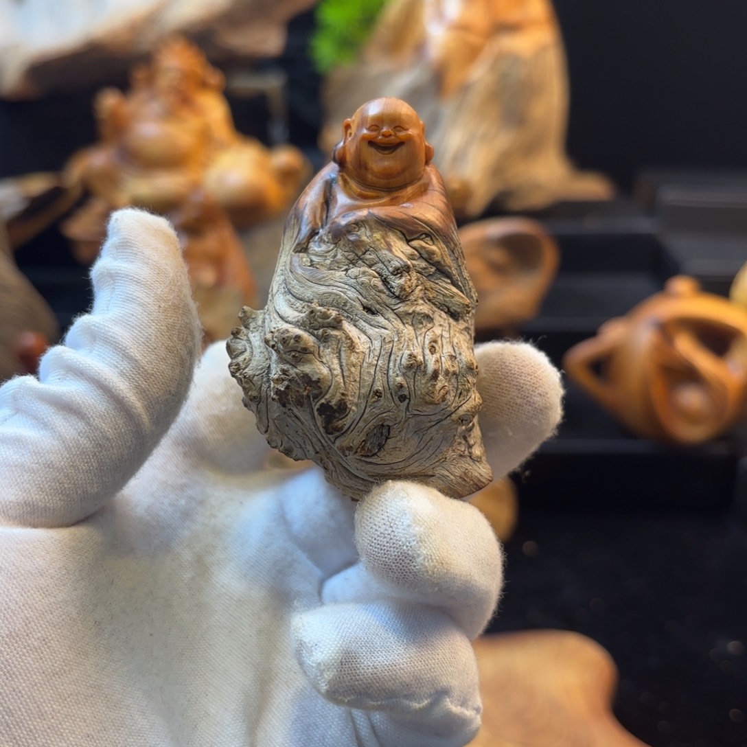 余***生柏木1111111111111