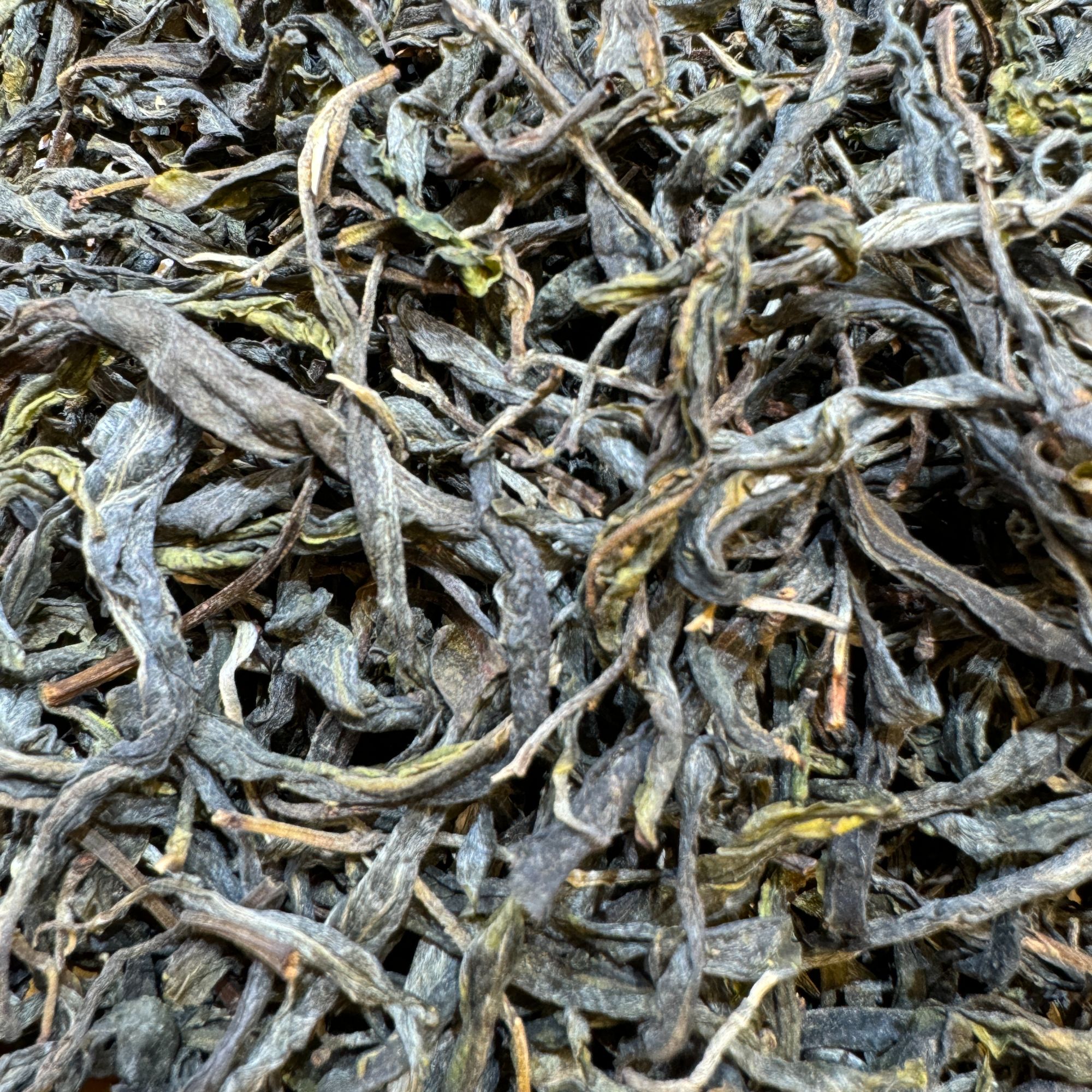 2025年头春 冰岛南迫二类古树 普洱茶 生茶 散茶