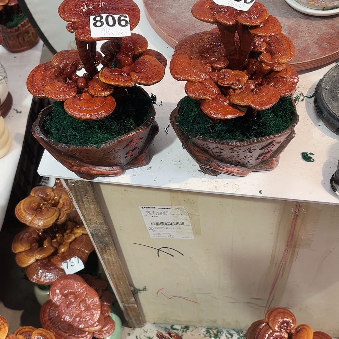 似***华无花朵灵芝888888888888888