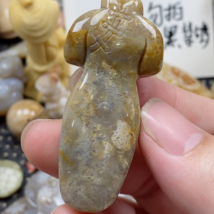 颈饰未镶嵌硅化珊瑚（珊瑚玉）