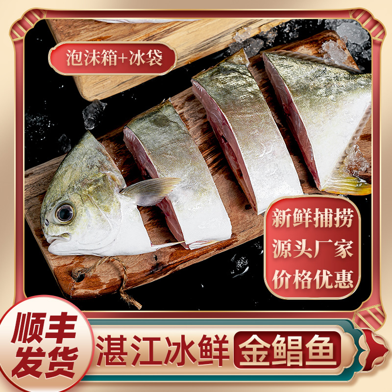 广东湛江特产冰鲜水产深海金鲳鱼渔民捕捞不杀每条净重300-400克