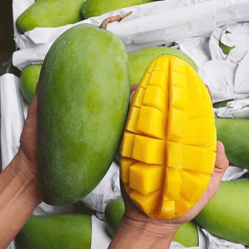 dm【产地直发】正宗广西百色青皮金煌芒新鲜应季水果坏果包赔