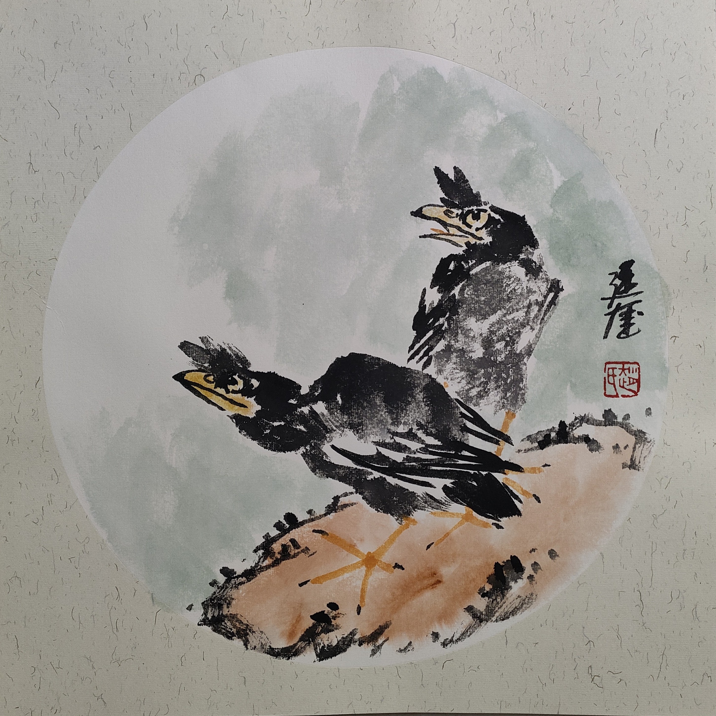 画家赵廷奎作品（八哥图）38*38